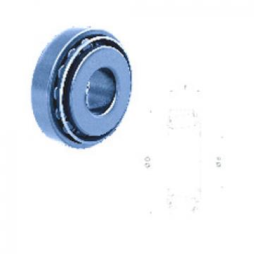 Bearing 3386/3320 Fersa