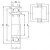 Bearing VEB 100 /NS 7CE3 SNFA