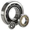 Bearing 5204-2RS C3 PFI