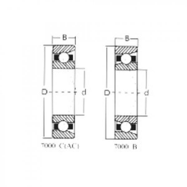 Bearing 7305C CRAFT #5 image